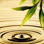 Santa Ana, California - TRE 8-session group series (In a Gentle Way You Can Shake Your World)