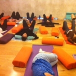 Marina del Rey California TRE workshop open to the public- 6/20 must pre-register...