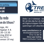 MALMÖ, Sweden - TRE™ Intro workshop (open to general public)