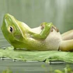 Olympia, Washington - TRE™ WORKSHOP Series - September, 2016