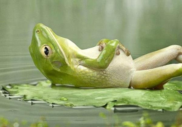 Dublin, Ireland - Full-day TRE workshop