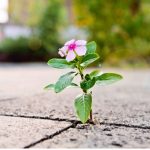 Stockholm, Sweden, 3h TRE Workshop and Lecture with David Pilbäck