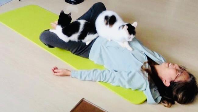 TRE™ Global Certification Training Module 1  – Taipei, Taiwan