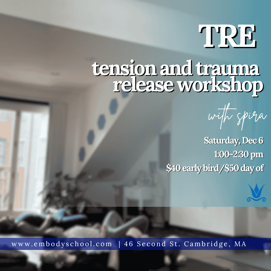 Cambridge, MA: Intro to TRE workshop