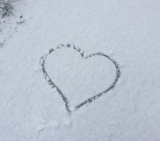 End-of-the-year shake – online (English language)