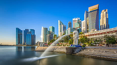 IN PERSON - SINGAPORE - TRE™ for personal use ( Module 1), includes 2-day workshop and 4 individual online TRE sessions.