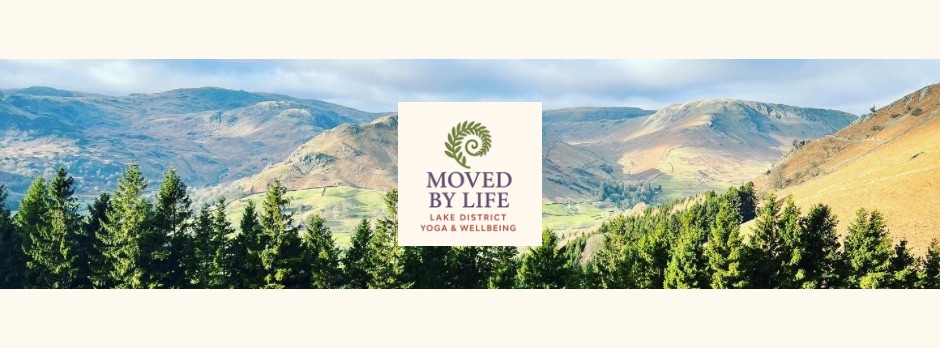 Forest Flow & Release