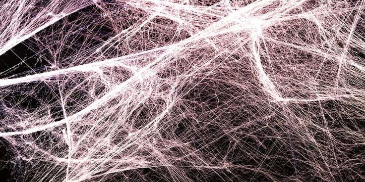 The Neurobiology of Breath & TRE